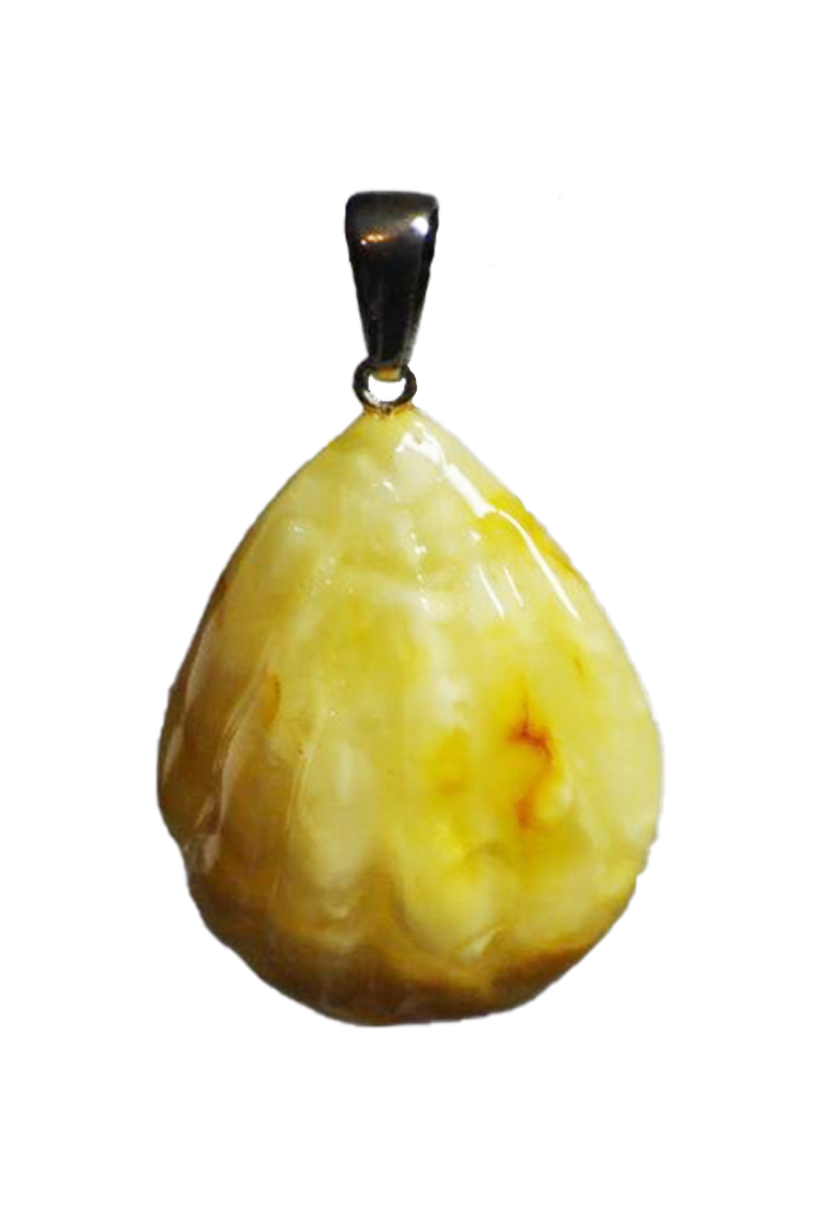 Wisiorek muszla, bursztyn bałtycki, bryłka 3D